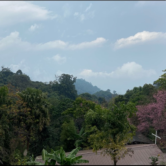 Meet your Posher, Amanda - Picture 1 of 1